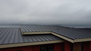 Roof Coating Services in Thompsons Station, TN